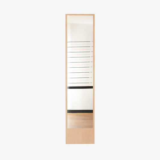 Wall Mounted Mirror