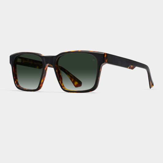 KRABBENFISCHER | BLACK HAVANA