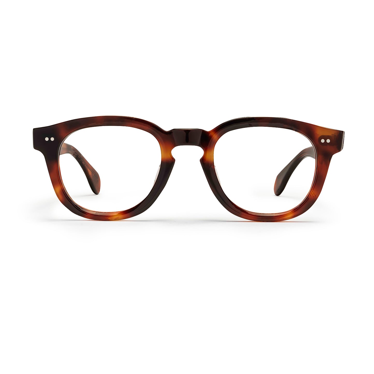 TITANBOA - BROWN HAVANA