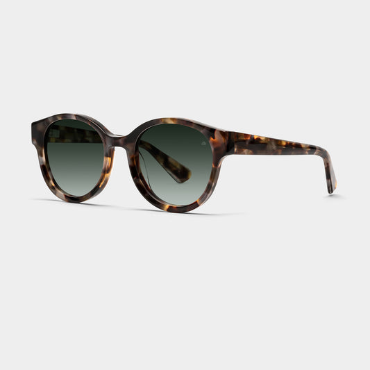 MIKROBIOLOGE | HAVANA SHELL