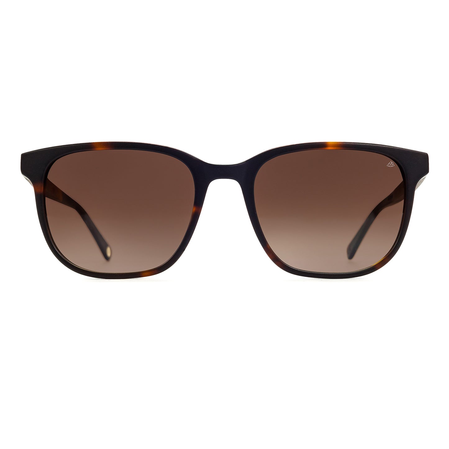 MINIMALIST | HAVANA - PEACH BURL