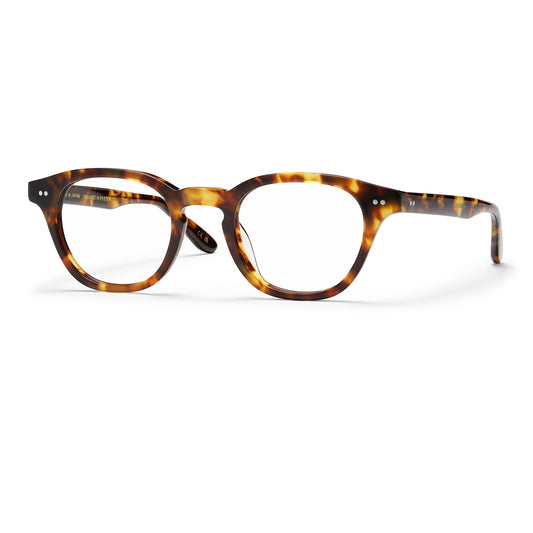 STEPPE - BROWN HAVANA